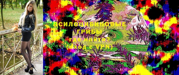 бошки Богородск