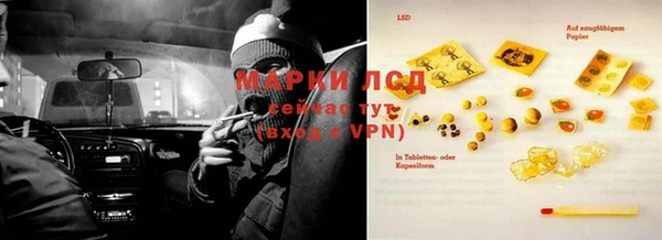 трава Богородицк