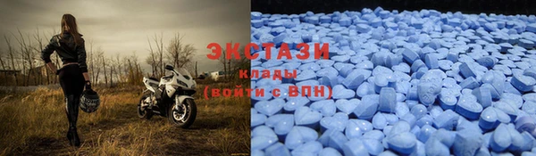 прущие грибы Няндома
