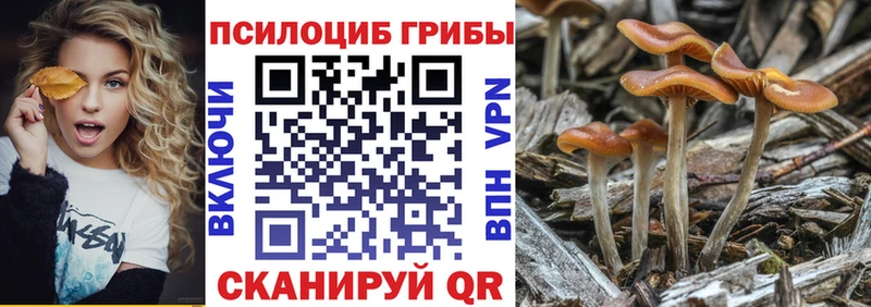 Галлюциногенные грибы прущие грибы Среднеуральск